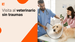 Imagen del video Visita al veterinario sin traumas