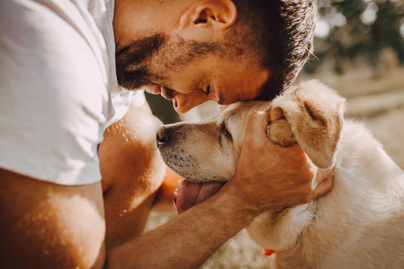 Dueño y su perro en sintonía