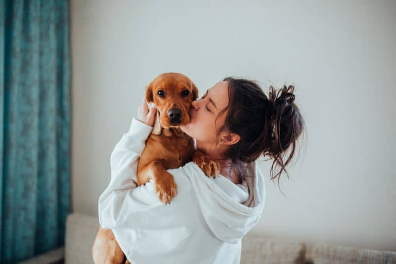 vivir con perro es vivir con amor