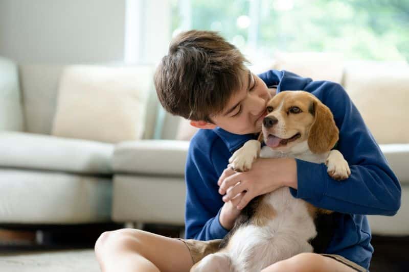 beneficios de acariciar perro