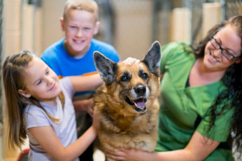 familia aprendiendo a educar a su perro