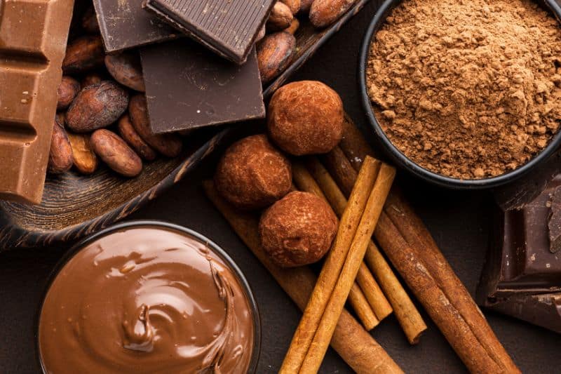 cacao alimentos tóxicos para perros