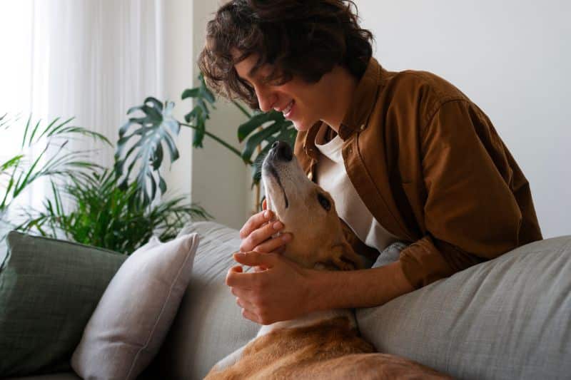 cómo calmar a un perro hiperactivo